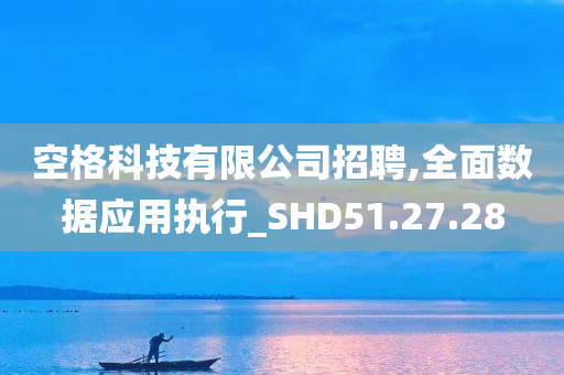 空格科技有限公司招聘,全面数据应用执行_SHD51.27.28