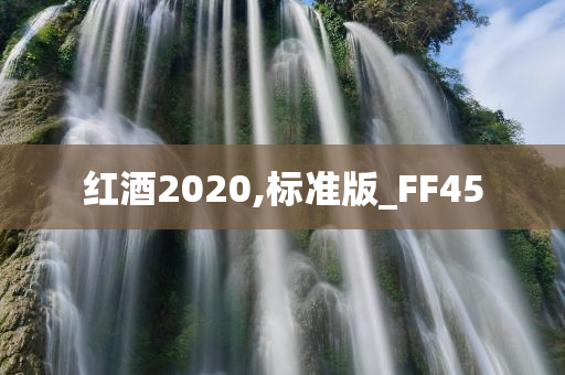 红酒2020,标准版_FF45