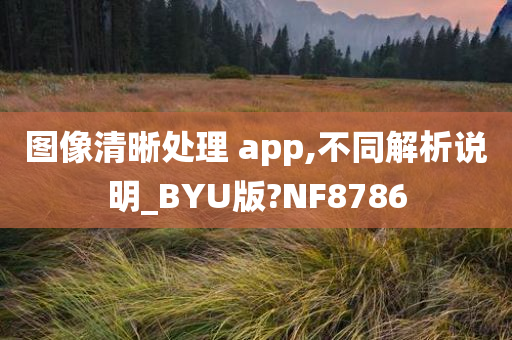 图像清晰处理 app,不同解析说明_BYU版?NF8786