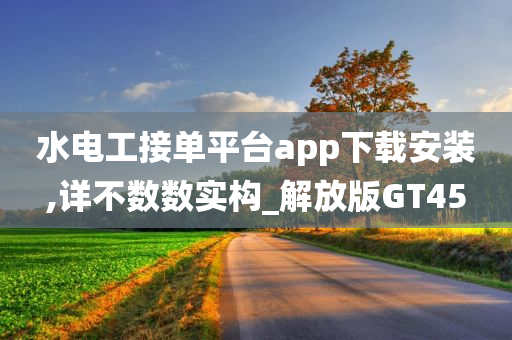 水电工接单平台app下载安装,详不数数实构_解放版GT45