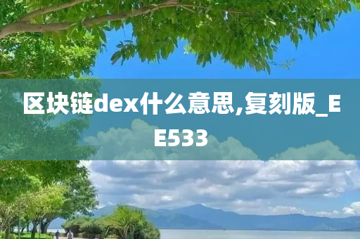 区块链dex什么意思,复刻版_EE533