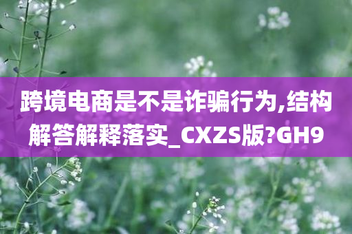 跨境电商是不是诈骗行为,结构解答解释落实_CXZS版?GH9