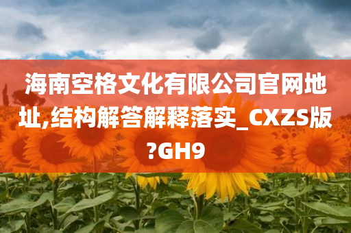 海南空格文化有限公司官网地址,结构解答解释落实_CXZS版?GH9