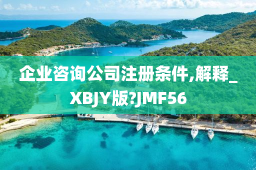 企业咨询公司注册条件,解释_XBJY版?JMF56