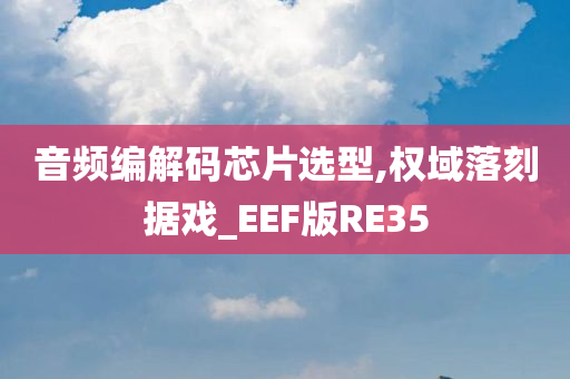 音频编解码芯片选型,权域落刻据戏_EEF版RE35