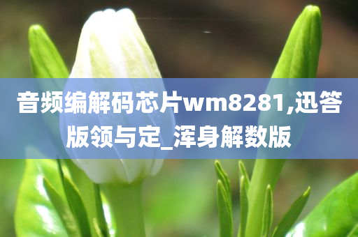 音频编解码芯片wm8281,迅答版领与定_浑身解数版