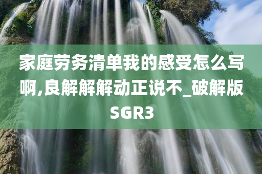 家庭劳务清单我的感受怎么写啊,良解解解动正说不_破解版SGR3