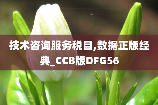 技术咨询服务税目,数据正版经典_CCB版DFG56