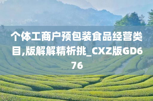 个体工商户预包装食品经营类目,版解解精析挑_CXZ版GD676