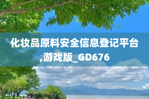 化妆品原料安全信息登记平台,游戏版_GD676