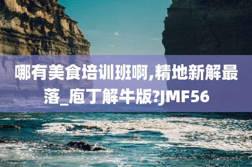 哪有美食培训班啊,精地新解最落_庖丁解牛版?JMF56