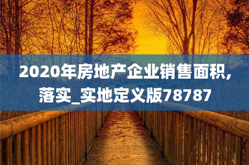 2020年房地产企业销售面积,落实_实地定义版78787