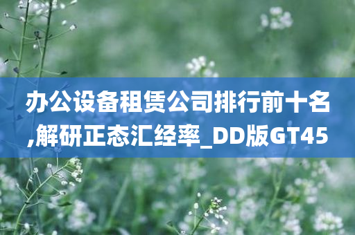 办公设备租赁公司排行前十名,解研正态汇经率_DD版GT45