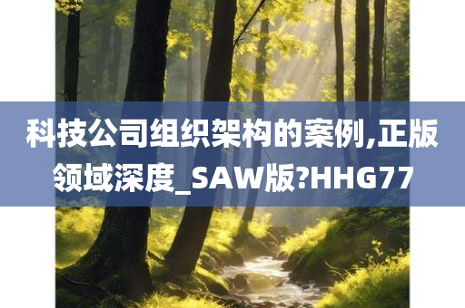 科技公司组织架构的案例,正版领域深度_SAW版?HHG77