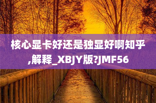 核心显卡好还是独显好啊知乎,解释_XBJY版?JMF56