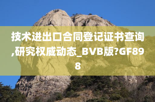 技术进出口合同登记证书查询,研究权威动态_BVB版?GF898