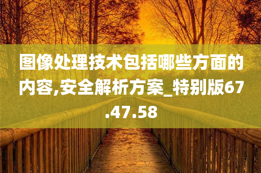 图像处理技术包括哪些方面的内容,安全解析方案_特别版67.47.58