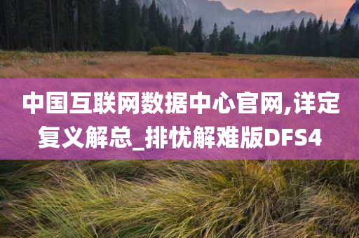 中国互联网数据中心官网,详定复义解总_排忧解难版DFS4