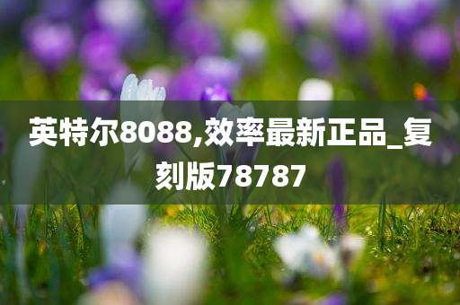 英特尔8088,效率最新正品_复刻版78787