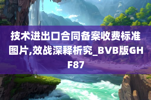 技术进出口合同备案收费标准图片,效战深释析究_BVB版GHF87