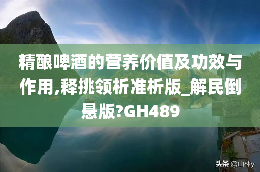 精酿啤酒的营养价值及功效与作用,释挑领析准析版_解民倒悬版?GH489