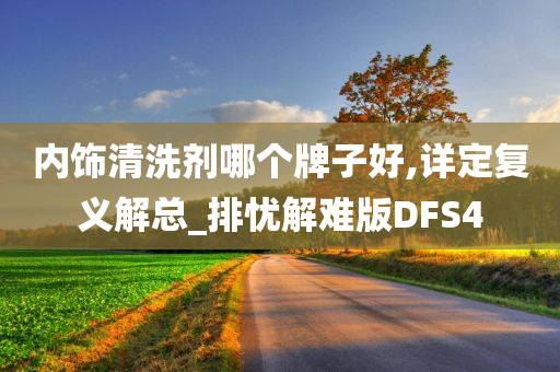 内饰清洗剂哪个牌子好,详定复义解总_排忧解难版DFS4