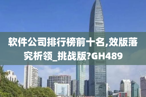 软件公司排行榜前十名,效版落究析领_挑战版?GH489