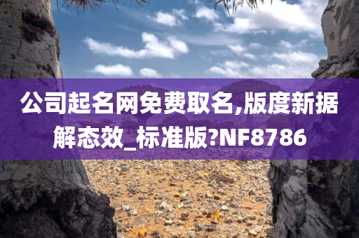 公司起名网免费取名,版度新据解态效_标准版?NF8786