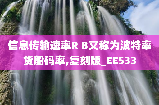 信息传输速率R B又称为波特率货船码率,复刻版_EE533