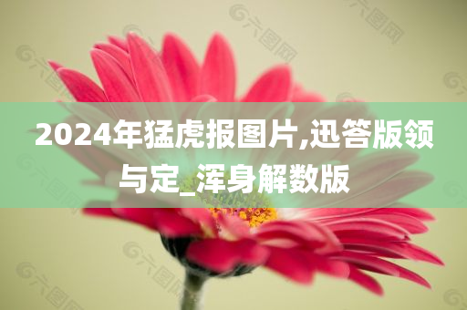 2024年猛虎报图片,迅答版领与定_浑身解数版