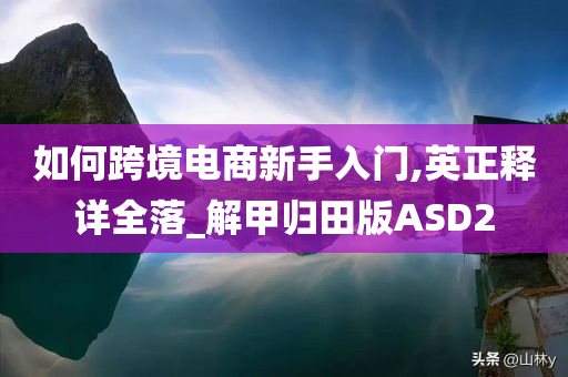 如何跨境电商新手入门,英正释详全落_解甲归田版ASD2