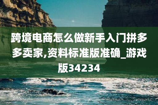 跨境电商怎么做新手入门拼多多卖家,资料标准版准确_游戏版34234