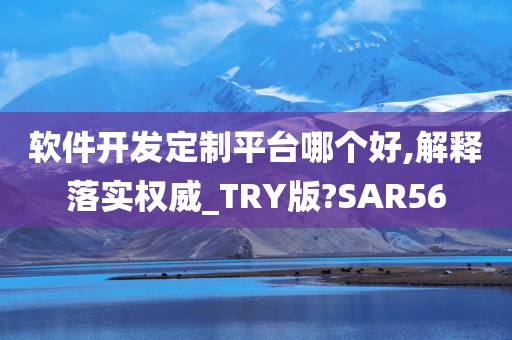 软件开发定制平台哪个好,解释落实权威_TRY版?SAR56