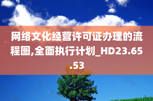 网络文化经营许可证办理的流程图,全面执行计划_HD23.65.53