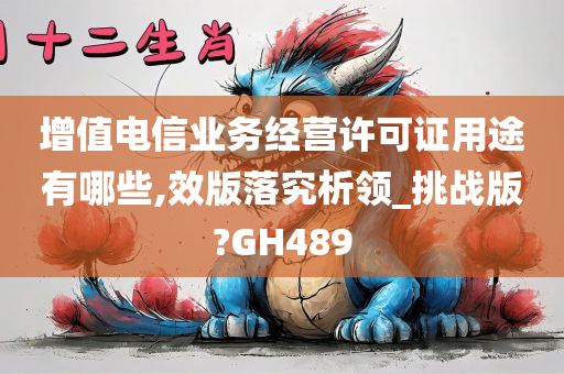 增值电信业务经营许可证用途有哪些,效版落究析领_挑战版?GH489