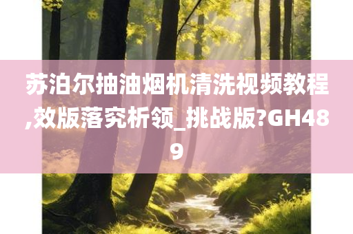 苏泊尔抽油烟机清洗视频教程,效版落究析领_挑战版?GH489