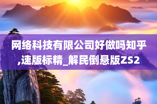 网络科技有限公司好做吗知乎,速版标精_解民倒悬版ZS2