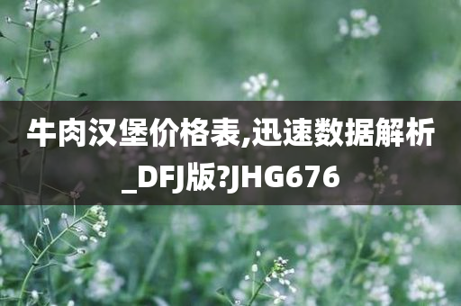 牛肉汉堡价格表,迅速数据解析_DFJ版?JHG676