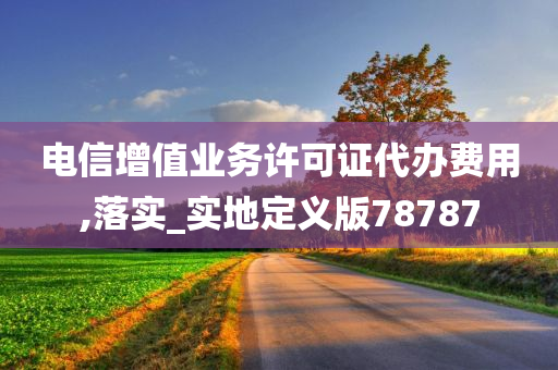 电信增值业务许可证代办费用,落实_实地定义版78787