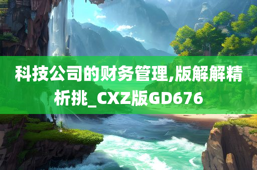 科技公司的财务管理,版解解精析挑_CXZ版GD676