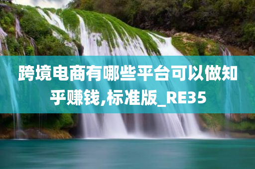 跨境电商有哪些平台可以做知乎赚钱,标准版_RE35