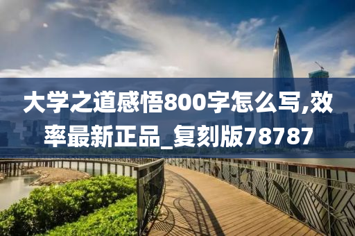 大学之道感悟800字怎么写,效率最新正品_复刻版78787