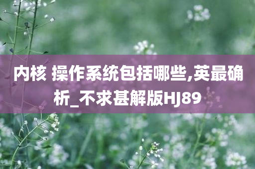 内核 操作系统包括哪些,英最确析_不求甚解版HJ89