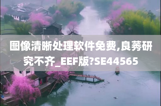 图像清晰处理软件免费,良莠研究不齐_EEF版?SE44565