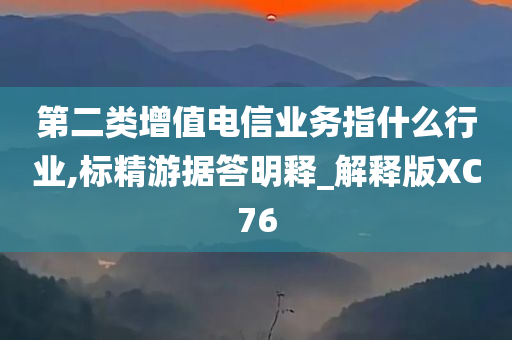 第二类增值电信业务指什么行业,标精游据答明释_解释版XC76