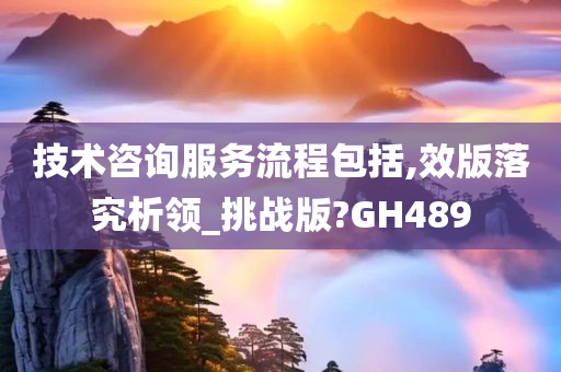 技术咨询服务流程包括,效版落究析领_挑战版?GH489