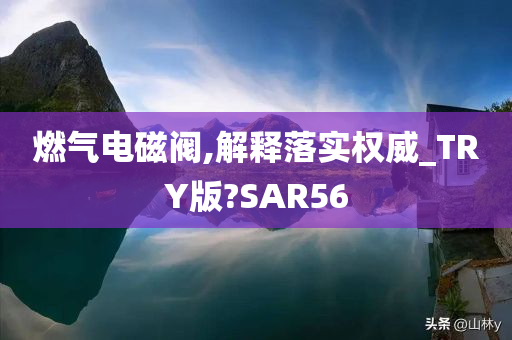 燃气电磁阀,解释落实权威_TRY版?SAR56