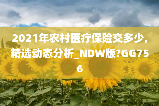 2021年农村医疗保险交多少,精选动态分析_NDW版?GG756