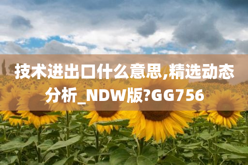 技术进出口什么意思,精选动态分析_NDW版?GG756