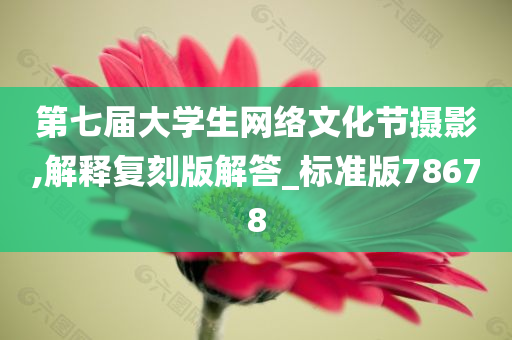 第七届大学生网络文化节摄影,解释复刻版解答_标准版78678